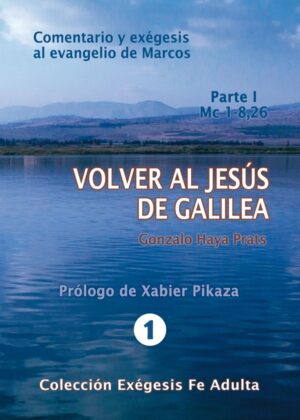 Volver al Jesús de Galilea (I). Mc 1-8,26
